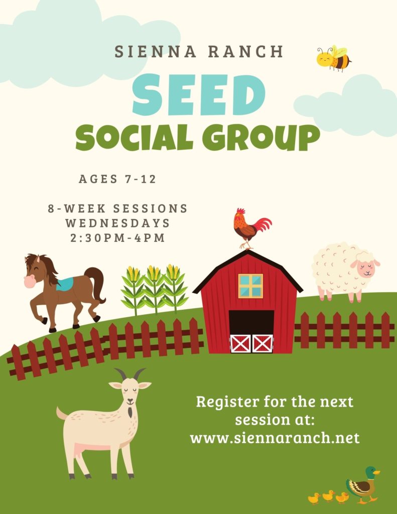 Sienna-Ranch-SEED-Social-Group