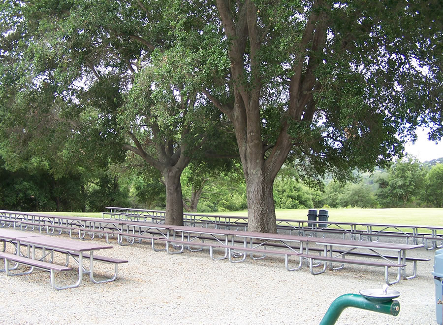 Lafayette Reservoir Upper Picnic Area