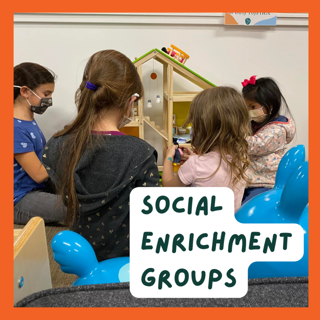 spirited play labs social enrichment groups